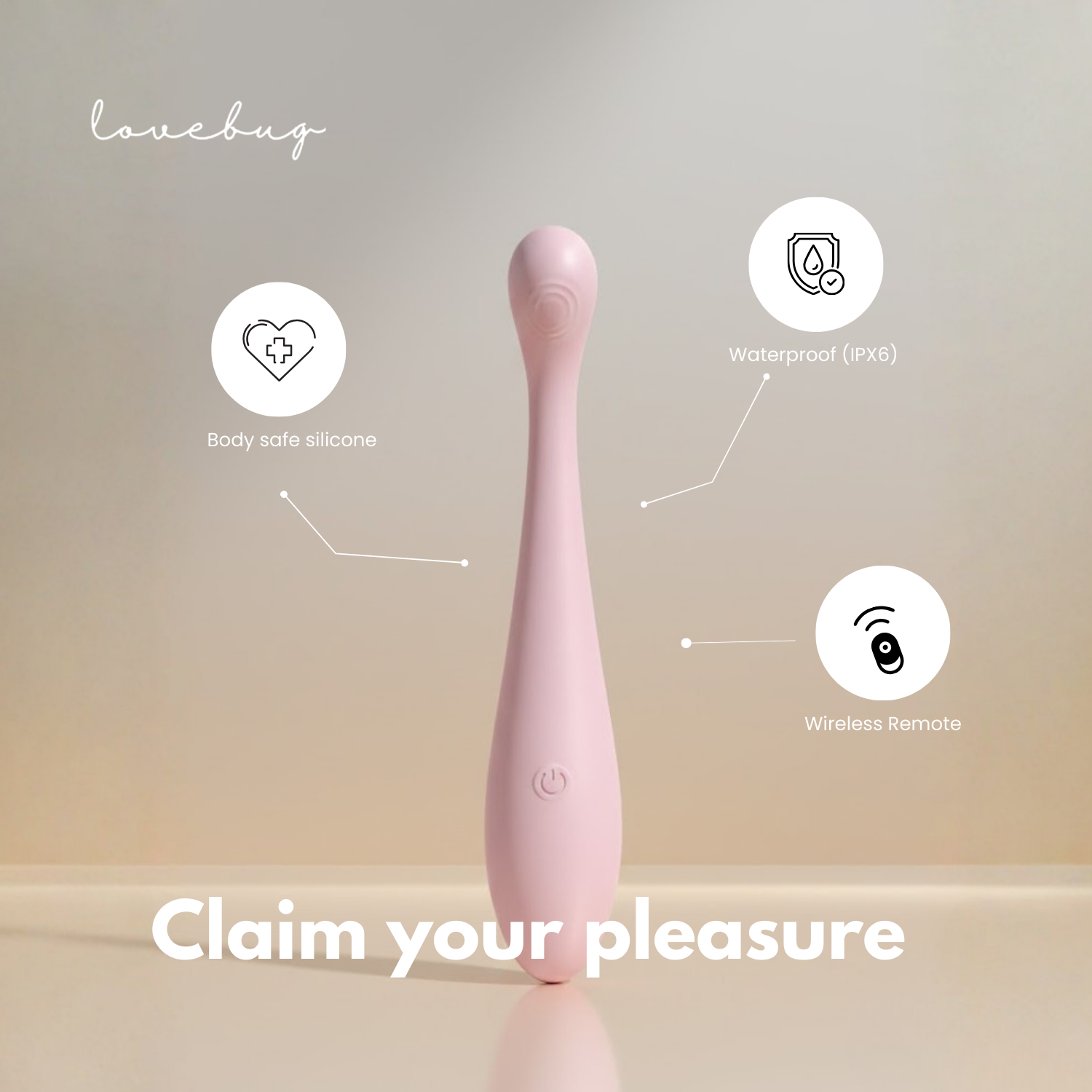 THE LADYBUG’S SECRET