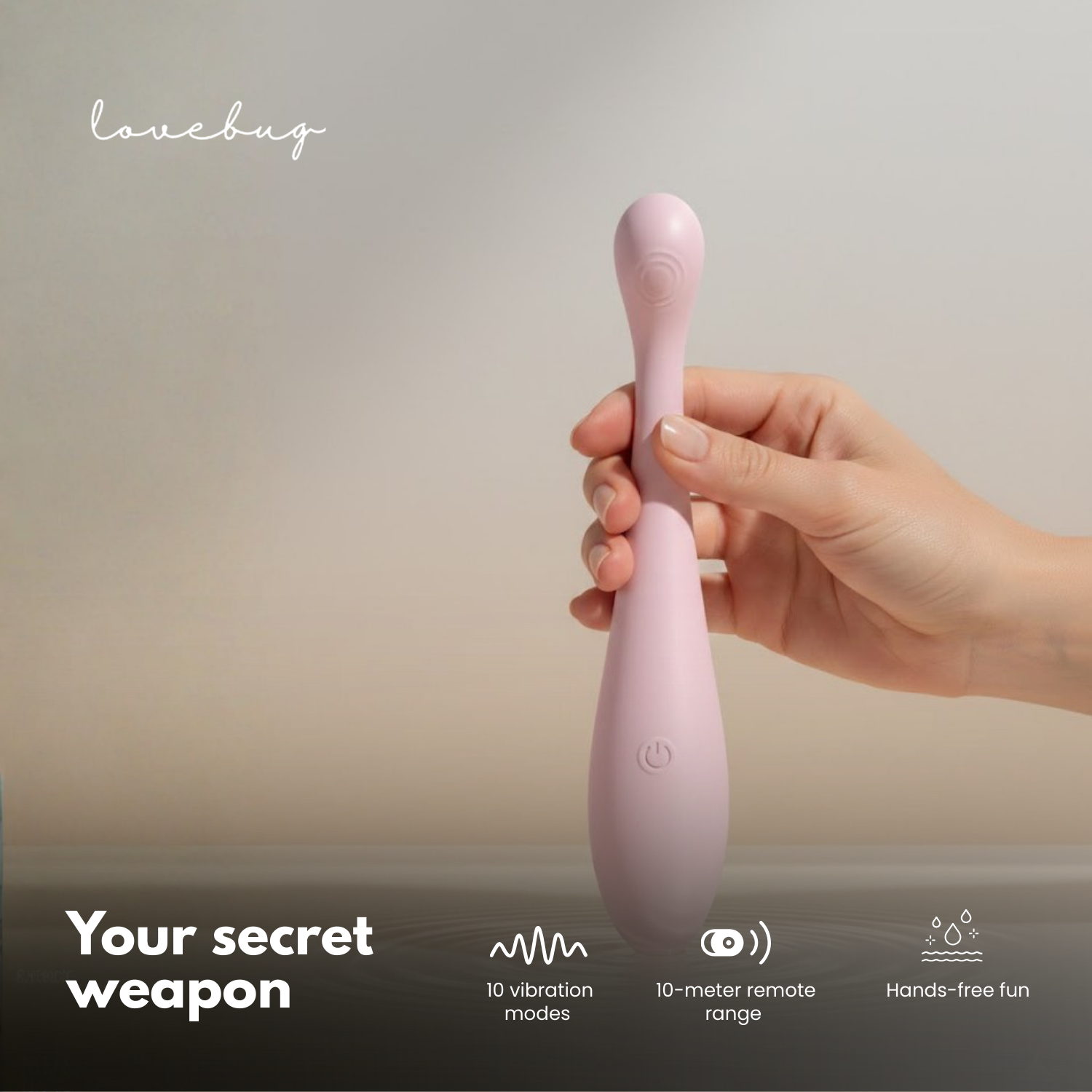 THE LADYBUG’S SECRET